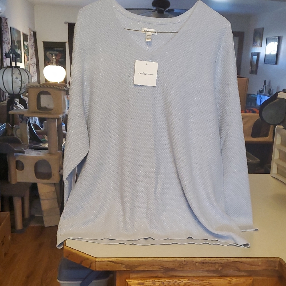 Soft Blue Sparkly Sweater, Croft & Barrow